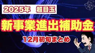 【2025年超目玉】「新事業進出補助金」概要12月初旬（補助率、予算、要件等）まとめ