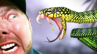 FACE to FANG With One of Asia's Rarest Snakes!