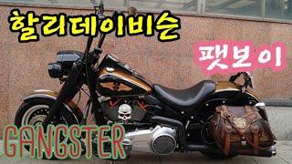 Harley-Davidson softail fat boy! 할리데이비슨 팻보이 갱스터 타고 가평 라이딩~ 할리 로드킹 팻보이 포티에잇 출동~