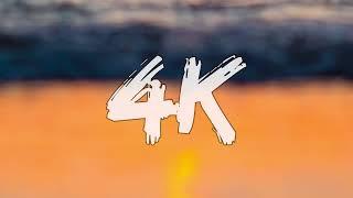 El Alfa - 4K (Lyrics)