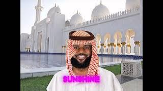 YOU ARE MY SUNSHINE (LEBRON JAMES MEME) LEHABIBI REMIX