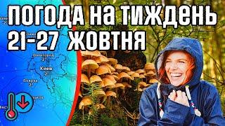  Холодні ночі, Теплі дні така Погода чекає Українців. Погода на тиждень 21-27 жовтня від Погоднік.