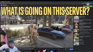 Hutch Reacts To The Drama On Purple RP, CG Doing Parkour And More Clips | Prodigy RP | GTA 5