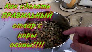 Как сделать ПРАВИЛЬНЫЙ отвар с КОРЫ ОСИНЫ!!!!