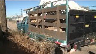 Volunteers pitch in to clean trashed alley