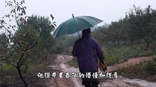 借着农场的雨景，分享一段豆爸的散文！一个被农业耽误的平头老百姓#新农人计划2024 #抖音新农人 #三农故事 #慢下来看世界