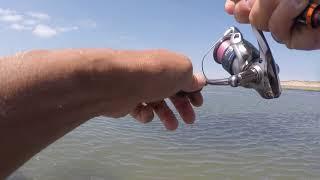 Lure fishing for Bass North Devon UK