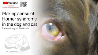 Horner syndrome in the dog and cat (for veterinary professionals)