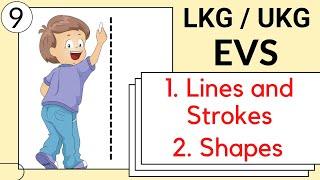 Part 9- LKG / UKG EVS Course | lines and strokes | names of shapes for kids | lkg evs online class