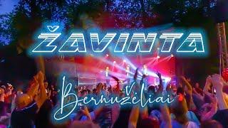 Bernužėliai - Žavinta *NAUJA DAINA 2019*