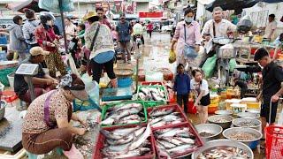 Selling Fish, Chicken, Pork, Beef, & More - Best Street Market @Cambodian Market Traditional Market