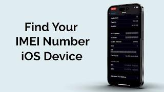 How to Find Your IMEI Number on iOS Devices?