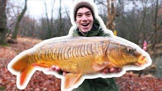 How To Catch Carp with CORN