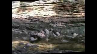 Spar Cave Elgol