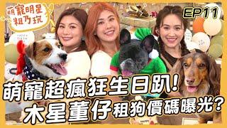 [SUB] EP11 萌寵瘋狂生日趴 木星 董仔 Sandy 精心布置DIY！壽星 呵喜 摳比為禮物大打出手【 萌寵明星粗乃玩 】@Jupiterlin@Tgopdone @haveapetday