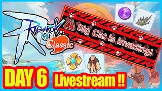 DAY 6 RoM Classic Zeny only Server!! Cat UFO Event !!