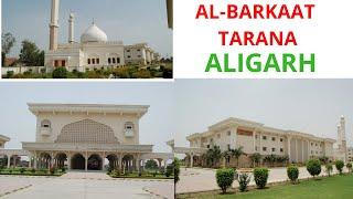 AL-BARKAAT Tarana | AL-Barkaat Institute of Management Studies | ALIGARH