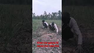 kisan bhai