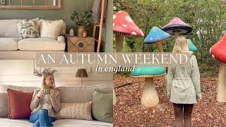 cosy vlog | pumpkin picking, garden centre & birthday gifts