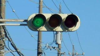 What Colour is This Japanese Traffic Light??