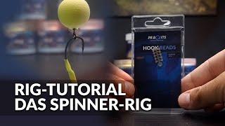 Das Spinner-Rig | Rig Tutorial zum Karpfenangeln | P.R. Baits | Carpfishing | Boilie | Pop Ups