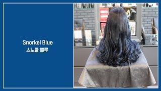 [프로 염색 레시피] 스노클 블루(Mielle professional Snorckel Blue)