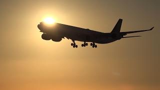 [4K] 30 Minutes of Afternoon Spotting at Munich Airport