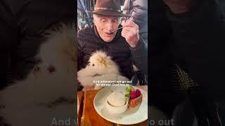 Tiny Dog Demands Ultimate Pampering From 88-Year-Old Dad | The Dodo