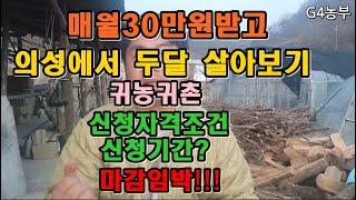 매월30만원받고 의성에서 두달 살아보기 귀농귀촌 청년농부