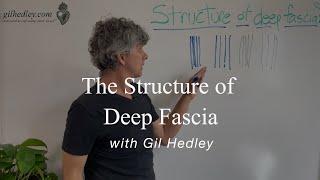 Structure of Deep Fascia? Learn Integral Anatomy with Gil Hedley