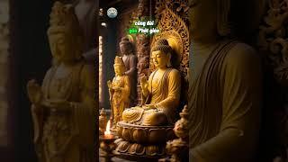 Phật ngồi trên đầu, lòng còn dưới chân #thuctinhtam #phatgiao #baihoccuocsong