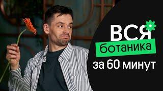 Вся БОТАНИКА за 60 МИНУТ | ЕГЭ по биологии 2023