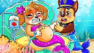 Paw Patrol Ultimate Rescue | Mermaid SKYE Brewing Cute Baby Pregnant BUT What Happened?! - Rainbow 3