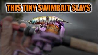 BFS Fishing Tiny Swimbait: Geecrack SuPaku Swimmer 95SS