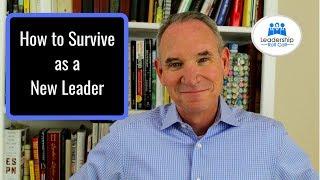 How to Survive as a New Leader