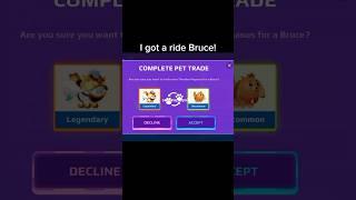 trading thunder pegasus for a ride Bruce#pkxd#pkxdgame#pkxdgameplay#gaming#shorts#pkxduniverse#yt