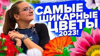 БЕРИТЕ ИХ в 2024! ТОП НИЗКОРОСЛЫХ ЦВЕТОВ 2023 года от #семенаалтая