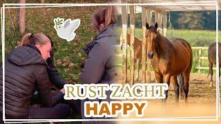 RUST ZACHT HAPPY... || VLOG Paardzoektbaas