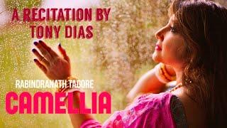 CAMELLIA | Tony Dias। Recitation Video |ক্যামেলিয়া। Rabindranath Tagore। Kobita Abritti Video |2019