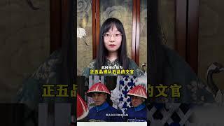 康熙发小魏东亭vs雍正心腹田文镜，俩人谁的级别高？高多少？ #雍正王朝  #一见爱上传统文化 #补服