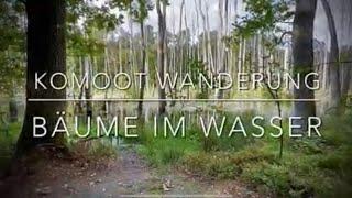 KOMOOT Wanderung : Bäume im Wasser- Moor Runde von Briese