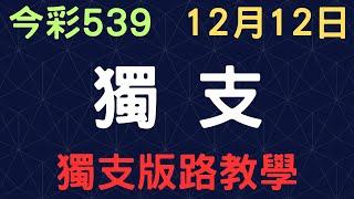 【今彩539】獨支｜少年狼539｜12月12日｜獨支版路教學