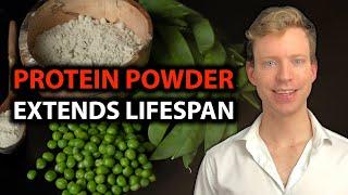 Why EVERYONE Should Use Protein Powder