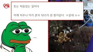 디시 탐방 - 볼수록 불쌍한 편의점 갤러리 탐방...ㅋㅋㅋㅋ