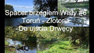 Spacer brzegiem Wisły #6 Toruń - Złotoria.Ujście Drwęcy