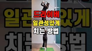 드라이버 일관성있게 치는법 #golf #golfswing #골프레슨 #골프 #골프스윙 #골프스윙팁 #골린이 #드라이버샷 #드라이버티샷