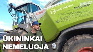 Gausus kukurūzų derlius Telšių rajone || AGRO REIDAS