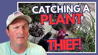 Plant Thief Caught on Camera Stealing Rare Plants! #proplifting