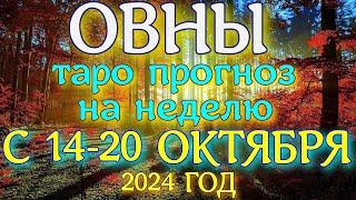 ГОРОСКОП ОВНЫ С 14 ПО 20 ОКТЯБРЯ НА НЕДЕЛЮ ПРОГНОЗ. 2024 ГОД