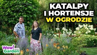 Katalpy i hortensje w ogrodzie pod miastem. Nietypowe ułożenie warzywnika